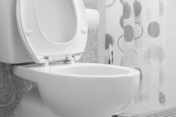 How To Adjust A Soft Close Toilet Seat